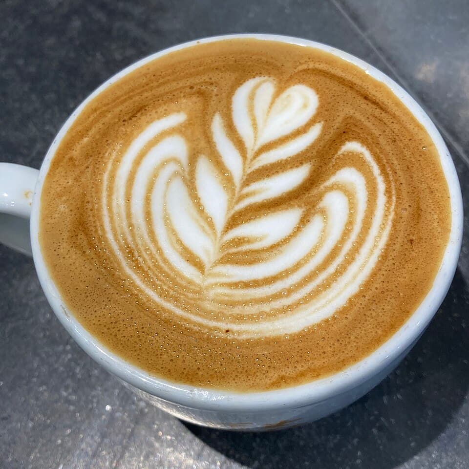 A latte with a symmetric rosetta — a fern of stacked leaves — poured in milk foam.
